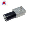 12V Brushless Mini DC BLDC Worm Gear Motor High Torque